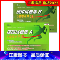 模拟试卷集A+模拟试卷集B 初中通用 [正版]2024中考模拟试卷集a试卷集b初三英语模拟卷中考水平考试卷模考测试卷上海