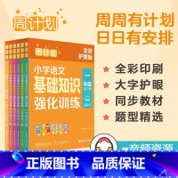 [全彩护眼版]1-6年级全套 小学通用 [正版]2024年新版周计划语文基础知识强化训练二年级一二三四五六年级小升初全彩