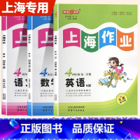 语数英[3本] 四年级上 [正版]2024钟书金牌上海作业四年级上语文数学英语N版4年级上下册上海小学教辅课后同步配套练