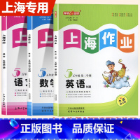 语数英[共3册] 五年级下 [正版]2024钟书金牌上海作业5年级下语文数学英语N版五年级下册第二学期上海小学教辅课