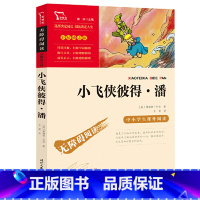 小飞侠彼得 潘 [正版]小飞侠彼得潘小学生三四年级课外阅读书籍经典书目书儿童读物童话故事书中小学生课外阅读指导丛书暑