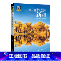 [正版]有一种梦想叫新疆 图说天下珍藏版 国家地理国内自助旅游指南书籍 旅游景点 自然与文化景观 山水风景民俗民情 书