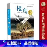 根鸟 [正版]根鸟 书曹文轩六年级课外书 纯美小说系列 9-10-11-12岁儿童少儿图书小学生四五年级课外阅读文学书