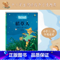 打动孩子心灵的中国经典—— 稻草人 [正版] 稻草人书 三年级打动孩子心灵的中国经典叶圣陶著儿童文学少儿书 6-8-9-