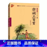 书声琅琅 国学诵读--宋词三百首 [正版] 宋词三百首 唐诗宋词鉴赏赏析注解注释学生用必背古诗词 小学生初中生注音版全