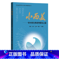 [正版]小而美 一家小银行的逆势破局之道 梁磊 银行从业者参考书籍 战略管理 中国金融出版社 战略管理 书籍