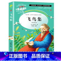 飞鸟集--新版语文课程标准 名师点评 阅读理解 扫除阅读障碍 提升学生阅读兴趣 彩图美绘版 [正版]飞鸟集泰戈尔原著小学