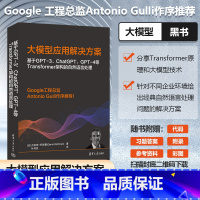 [正版]大模型应用解决方案 基于GPT-3 ChatGPT GPT-4等Transformer架构的自然语言处理 书籍