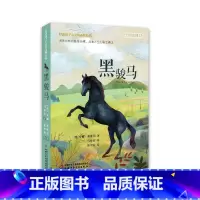 打动孩子心灵的动物经典——黑骏马 [正版]打动孩子心灵的动物经典—— 黑骏马