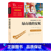 绿山墙的安妮 [正版]绿山墙的安妮三四五六年级课外阅读书课外小学生儿童经典文学阅读345经典名著课外教辅书阅读指导丛书