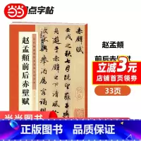 [正版] 墨点字帖:历代经典碑帖高清放大对照本第三辑·赵孟頫前后赤壁赋 书籍
