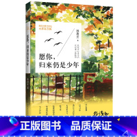 [正版]愿你归来仍是少年 林清玄 现当代文学书籍书排行榜经典文学小说 散文随笔岁月静好不忘初心 书籍