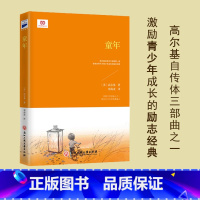 童年 [正版]童年(小学语文“快乐读书吧”·六年级上阅读,高尔基自传体三部曲之一,北师大教授郑海凌翻译) 书籍