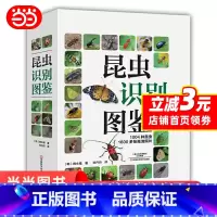 [正版] 昆虫识别图鉴 书籍