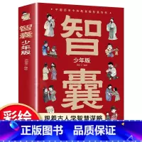 智囊:少年版 [正版]智囊全集漫画书少年版冯梦龙白话精选本儿童趣读历史故事古代智慧谋略全书7-12岁中小学生课外阅读三四
