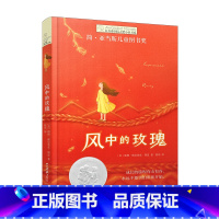 风中的玫瑰 [正版]风中的玫瑰(2022百班千人暑期书单 六年级阅读)