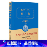 新月集 [正版]新月集 泰戈尔经典诗集 中英双语 全译精装典藏版 无障碍课外阅读 朱永新及各省级教育专家联袂课外