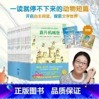 《读不够的奇妙故事书(桥梁书)》(全18册) [正版]+手册读不够的奇妙故事桥梁书 共18册 文学大师莫泽尔的动物狂想奇