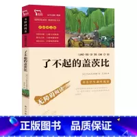 了不起的盖茨比 [正版]了不起的盖茨比(中小学生课外阅读指导丛书)无障碍阅读 彩插励志版 2000多名读者热评!