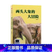 两头大象的大冒险 [正版]2024寒假百班千人四年级两头大象的大冒险 四年级课外书小学生课外阅读书籍儿童文学读物寒假暑