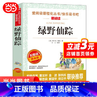 绿野仙踪 [正版]绿野仙踪原著 小学生三四五六年级初中七八九年级学习青少年儿童课外阅读书籍经典书目文学名著读物爱阅读