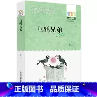 乌鸦兄弟 [正版]乌鸦兄弟 百年百部中国儿童文学经典读物小说中小学生三四五六年级课外书8-10-12岁寒暑假推阅读书