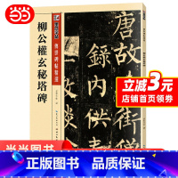 [正版]墨点传世碑帖精选柳公权玄秘塔碑繁体字练字帖柳体毛笔字帖入门临摹初学者儿童学写毛笔字毛笔楷书书法字帖 书籍