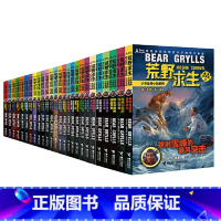 荒野求生少年生存小说系列(全套26册) [正版]荒野求生少年生存小说系列拓展版1-26册全套贝尔格里尔斯荒岛求生书野外探