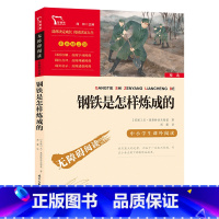 钢铁是怎么练成的 [正版]书籍 钢铁是怎样炼成的 八年级下册阅读(中小学生课外阅读指导丛书)无障碍阅读 彩插励志版