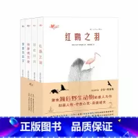 “我们和它们”系列(4册) [正版]书籍云朵工厂书籍注音版美绘本新蕾出版社国际大奖小说安徒生奖小学生二年级三年级四年级课
