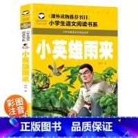 小英雄雨来 [正版]小英雄雨来 彩图注音版 小学生一二三年级5-6-7-8岁语文课外世界经典儿童文学名著童话故事书