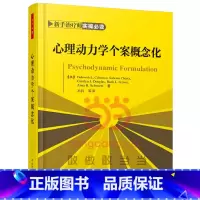 [正版]书籍万千心理·心理动力学个案概念化