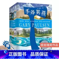 手斧男孩系列(全6册) [正版]书籍手斧男孩系列(全6册)随机赠口哨 野外生存秘籍智力大比拼 儿童青少年荒野求生冒险励志