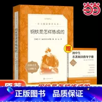 [4册]8年级必读书目 经典常谈+钢铁是怎样炼成的+名人传+给青年的十二封信 初中通用 [正版]骆驼祥子和钢铁是怎样炼成