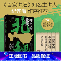 [正版]书籍神奇的北魏 张小泱著 百家讲坛主讲人纪连海作序 适合大众读者阅读的北魏断代史 秦汉文明之余韵隋唐盛世之先声