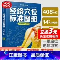 [正版]书籍经络穴位标准图册(汉竹)中医推拿按摩书养生书籍大全 人体经络穴位图解书