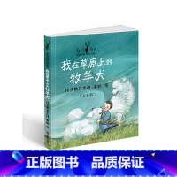 [正版]黑鹤动物传奇故事:我在草原上的牧羊犬