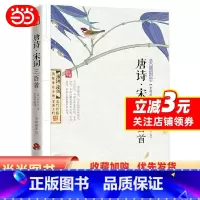 [正版]书籍唐诗宋词三百首 美丽国学青少年课外阅读初中高中学生古诗词 唐诗宋词鉴赏辞典诗经中国古诗词大全集 书籍