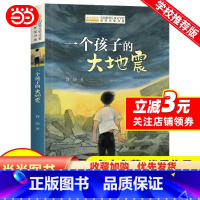 一个孩子的大地震 [正版]全国儿童文学奖获奖作家书系——一个孩子的大地震