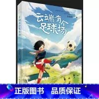 云端有个足球场 [正版]云端有个足球场