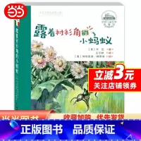 单本全册 [正版]世界儿童文学典藏馆—— 露着衬衫角的小蚂蚁(典藏版) 预计发货03.14