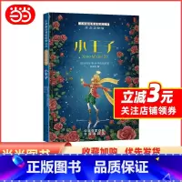 小王子 [正版]小学基础阅读配套丛书注音美绘版——小王子(单册塑封)