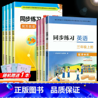 同步练习-英语 译林版 六年级下 [正版]2024秋同步练习数学英语三四五六年级上册下册配苏教版译林版数学英语3456年