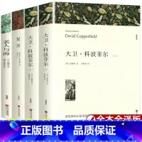 [全4册]复活+老人与海+大卫 科波菲尔 [正版]高中必读书目全套4册 全译本 完整版 无删减 大卫科波菲尔宋兆霖+复活