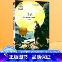 白狼 [正版]假话国历险记大奖儿童文学美绘典藏版7-9-10-12岁少儿读物世界经典名著课外书必读童话故事书三四五六年级