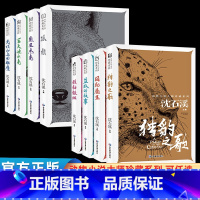 [全套8册]沈石溪动物小说 [正版]沈石溪动物小说全集全套8册 动物小说大王的书系列精品珍藏版 小学生课外阅读书籍三四五