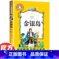 金银岛 [正版]金银岛彩图注音版史蒂文森原著书小学生课外阅读书籍一二年级三四年级课外书必读世界经典儿童文学小说名著故事书