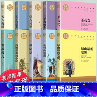 世界经典 文学名著[十大名著] [正版]世界十大名著全套10册 基督山伯爵书 神秘岛书籍原著 堂吉诃德 三个火枪手 茶花