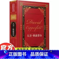 世界经典名著[大卫 科波菲尔] [正版]世界经典文学十大名著全套10册呼啸山庄钢铁是怎样炼成的简爱傲慢与偏见了不起的盖茨