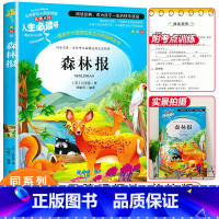 [正版]老师森林报春夏秋冬原著四册合一小学生课外阅读书籍三四五六年级必读经典书目青少年版儿童文学故事书3-4-5-6年